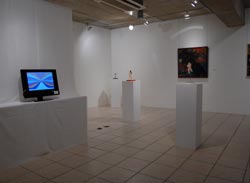 展示構成村田朋子